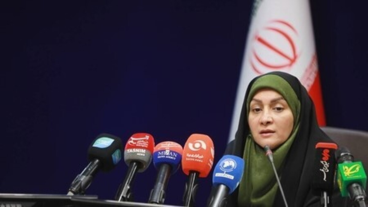 ارائه مشاوره طب ایرانی به ۲۰ هزار نفر در راهپیمایی اربعین