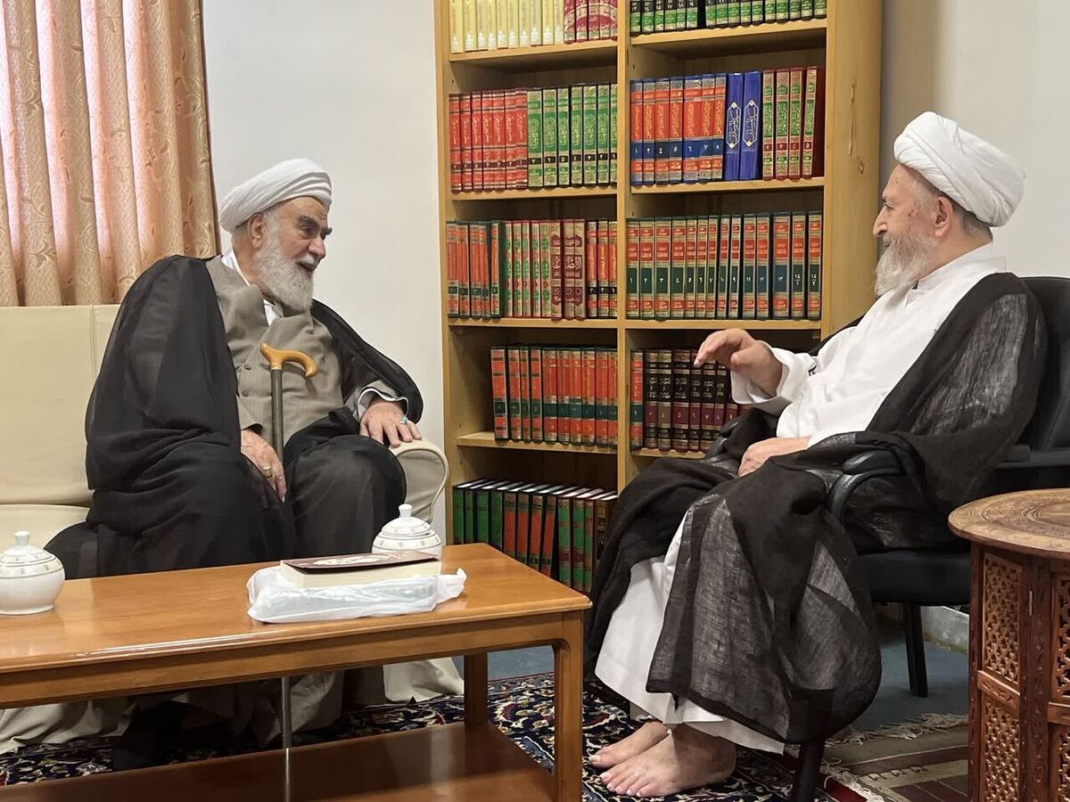 دیدار مسوول دفتر مقام معظم رهبری با آیت‌الله سبحانی