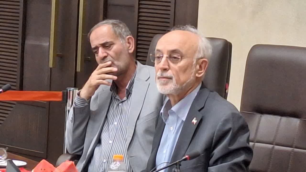 پای بزرگان به قزوین بازشد/ امید به همدلی بیشتر با راه اندازی شورای عالی راهبردی قزوین پای بزرگان به قزوین بازشد/ امید به همدلی بیشتر با راه اندازی شورای عالی راهبردی قزوین