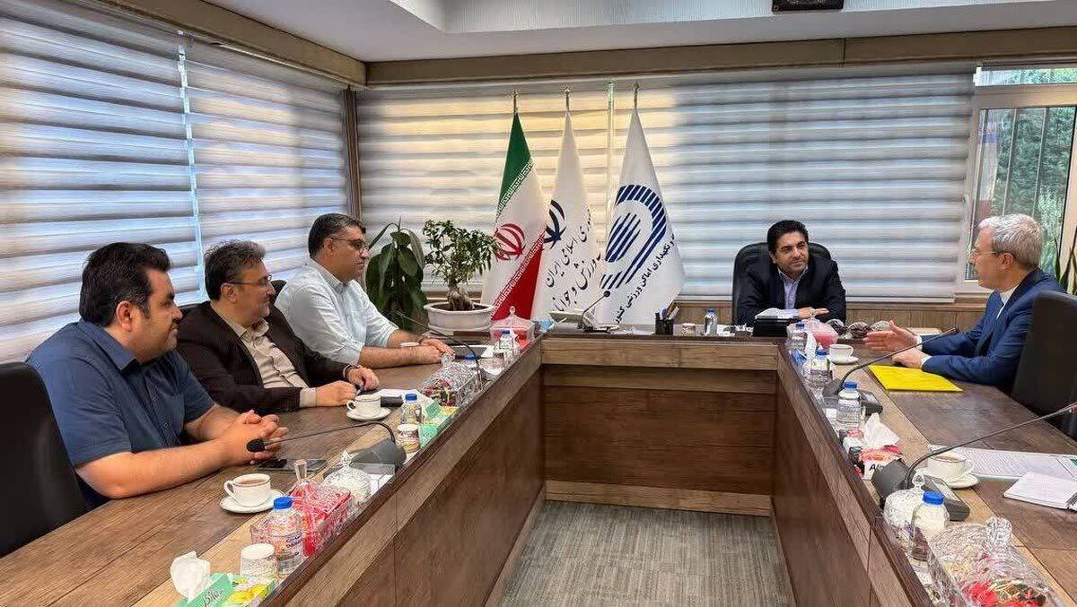 دیدار‌های جداگانه روسای ۵ فدراسیون ورزشی بامدیرعامل شرکت توسعه