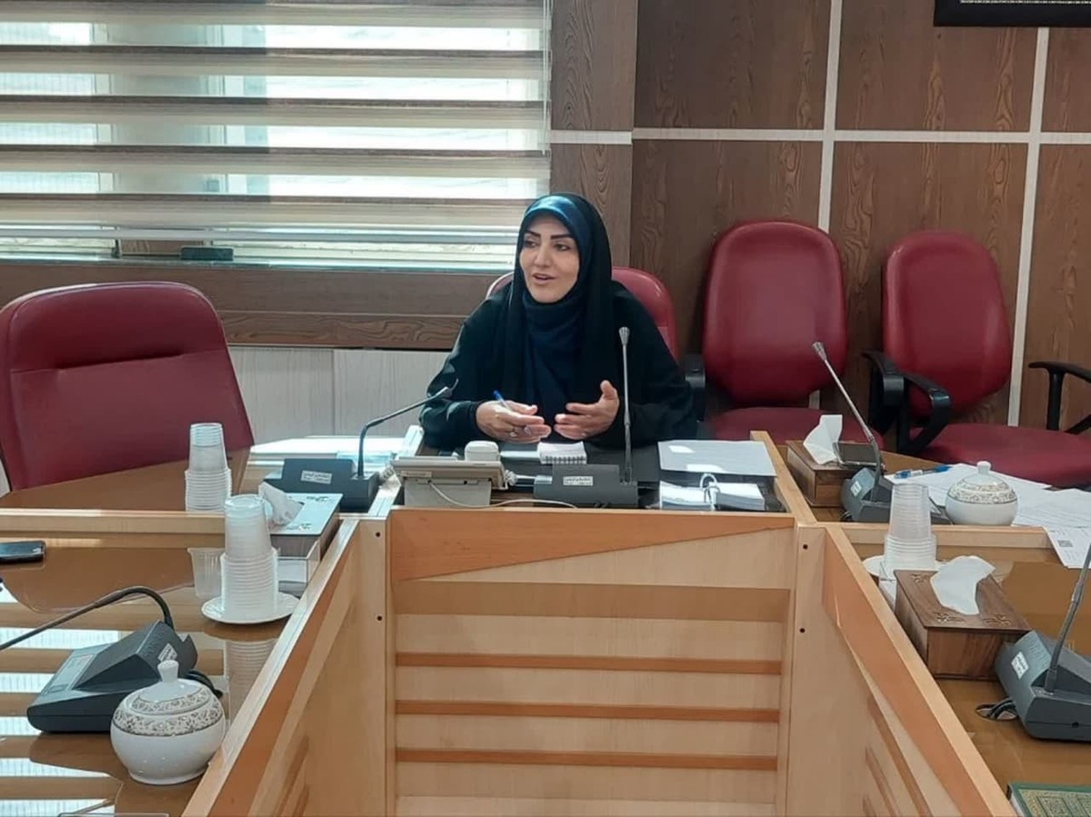 سمن ها نیازمند حمایت بیشتری برای تداوم فعالیتهای خود دارند