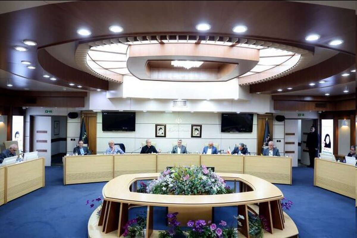 منابع نظام سلامت باید بر اساس خرید راهبردی و پرداخت عملکردی توزیع شود