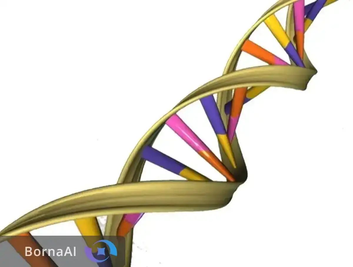 جهشی سه‌برابری در کارایی CRISPR با نانوذرات DNA پوش
