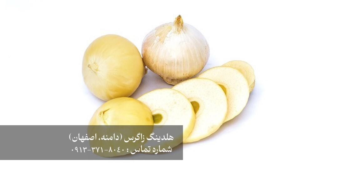 خرید موسیر کوهی و دشتی صادراتی خرید موسیر کوهی و دشتی صادراتی