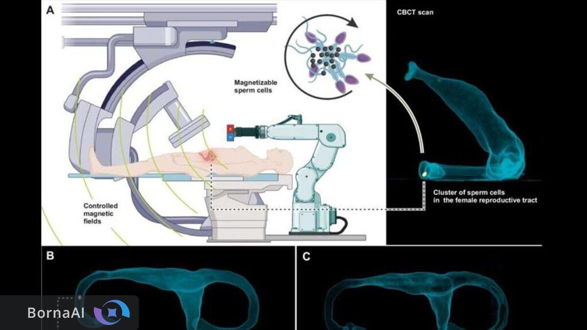 اسپرم‌ربات‌ها درمان ناباروری را متحول می‌کند!