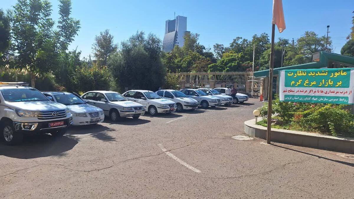 مانور تشدید نظارت بر بازار مرغ گرم در قزوین آغاز شد 