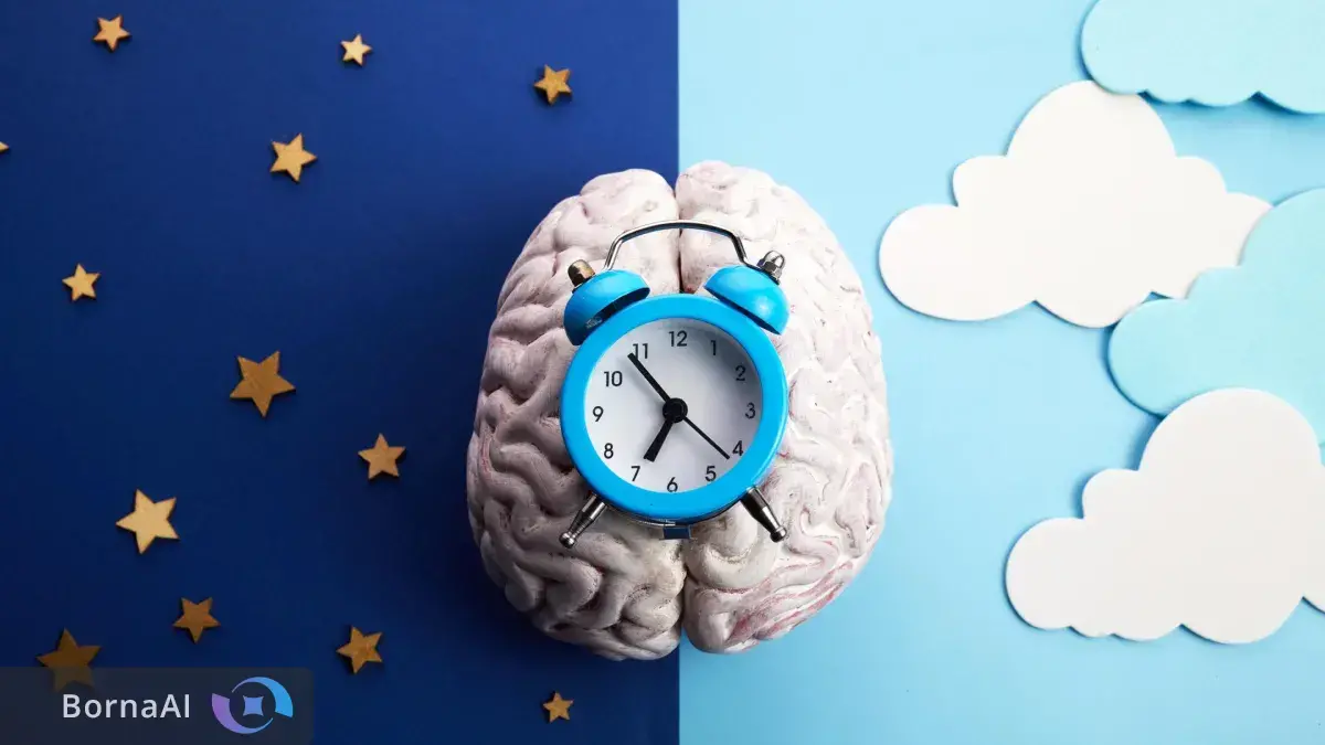 مغز شب‌ها چربی می‌سوزاند!