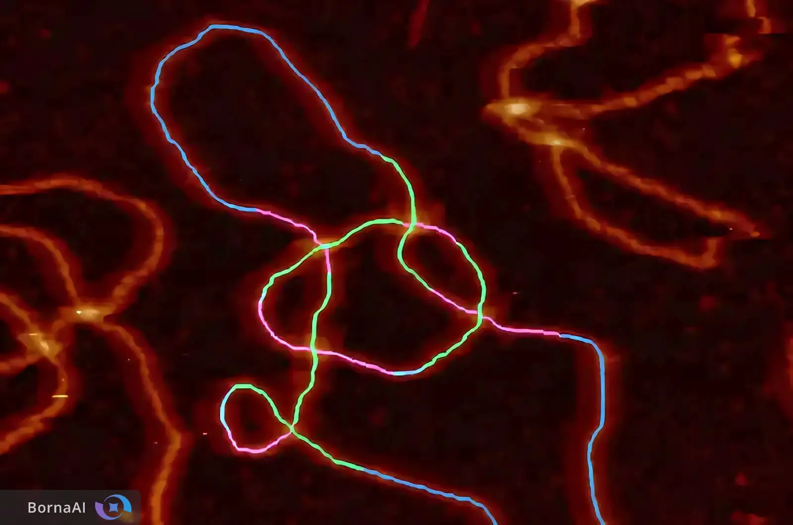 هوش مصنوعی گره‌های DNA را در سلول‌ها آشکار کرد!
