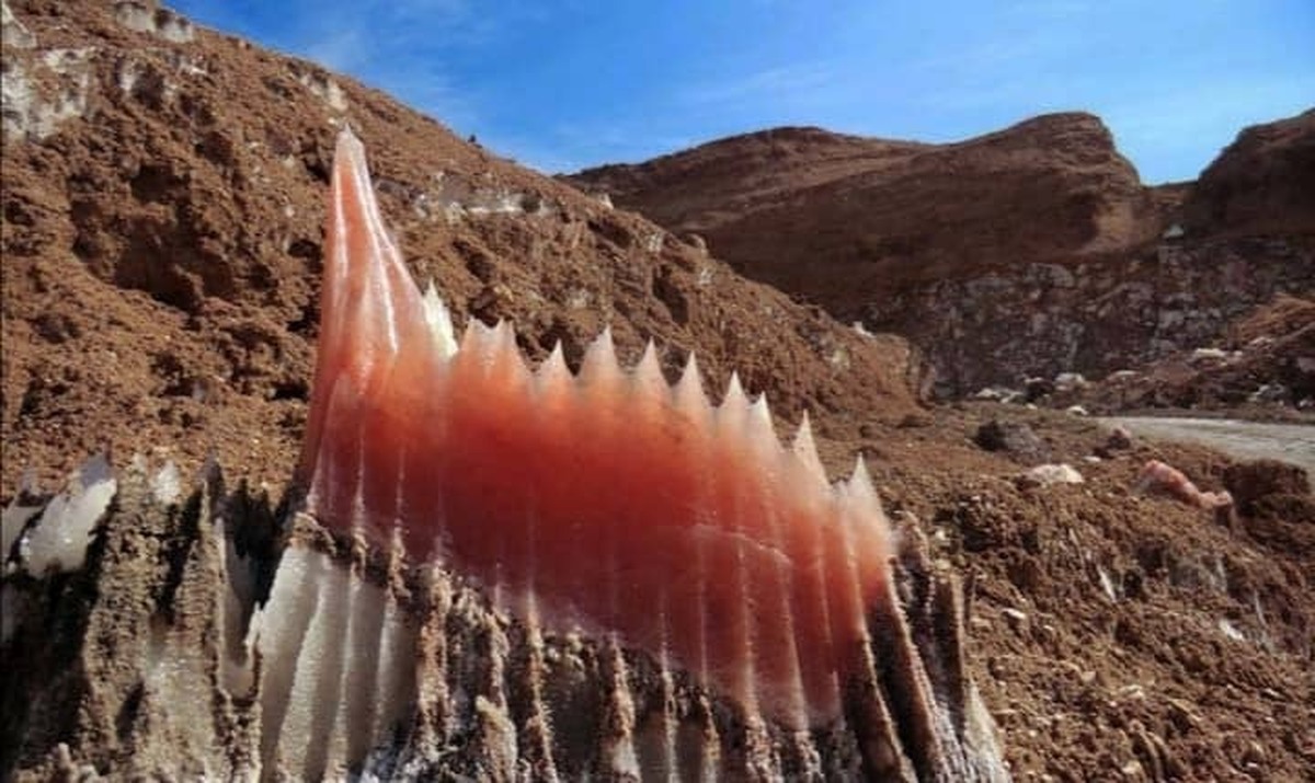 صدور دستور ویژه قضایی برای حفاظت از محیط‌زیست قشم