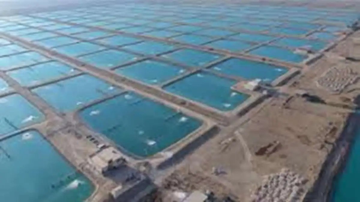 تأمین برق دائم برای بزرگ‌ترین شهرک شیلاتی کشور