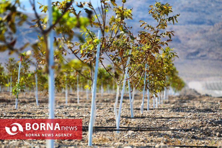 شتاب منطقه آزاد ماکو به سوی توسعه شتاب منطقه آزاد ماکو به سوی توسعه