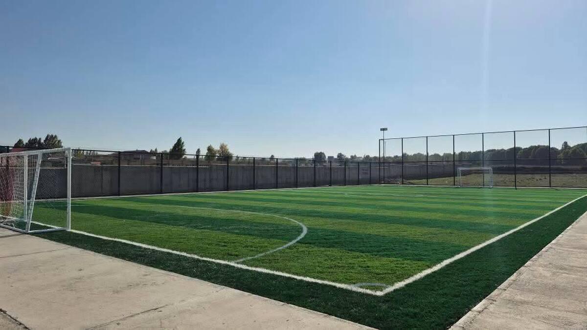 افتتاح زمین مینی‌چمن مصنوعی اردیموسی همزمان با هفته تربیت‌بدنی و ورزش