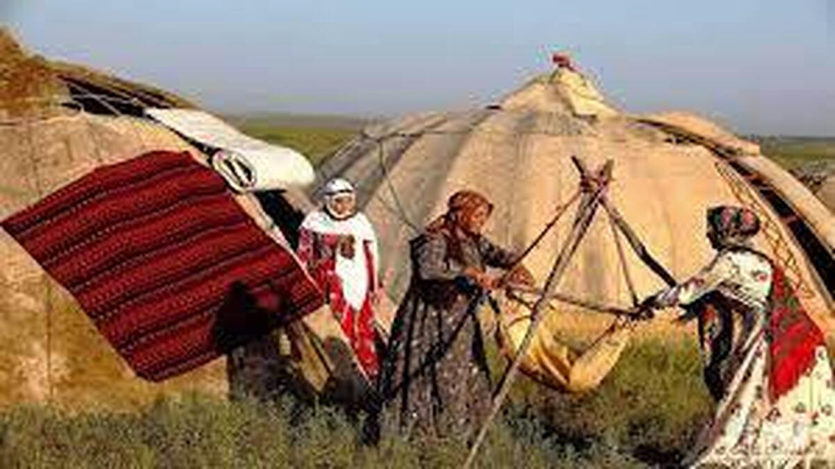 ۲۵ درصد گوشت استان یزد توسط عشایر تامین می‌شود