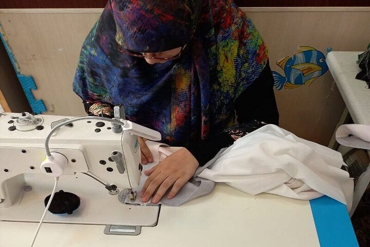 مدیرکل آموزش فنی و حرفه‌ای استان زنجان: آموزش‌های مهارتی نرخ مشارکت اقتصادی را افزایش می‌دهد