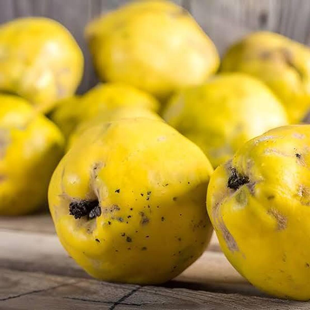 زمانی فرد:  برای توسعه علمی باغات «به» در فارس تلاش می‌شود