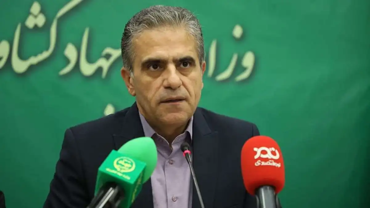 صادرات ۱۴۶۰ تن روغن زیتون ایران