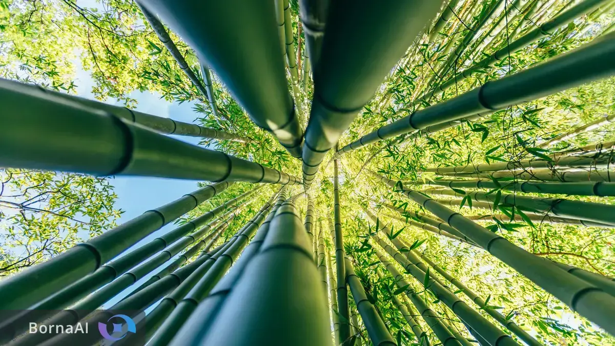 انقلاب در پلاستیک؛ بامبو ظرف ۵۰ روز تجزیه می‌شود!