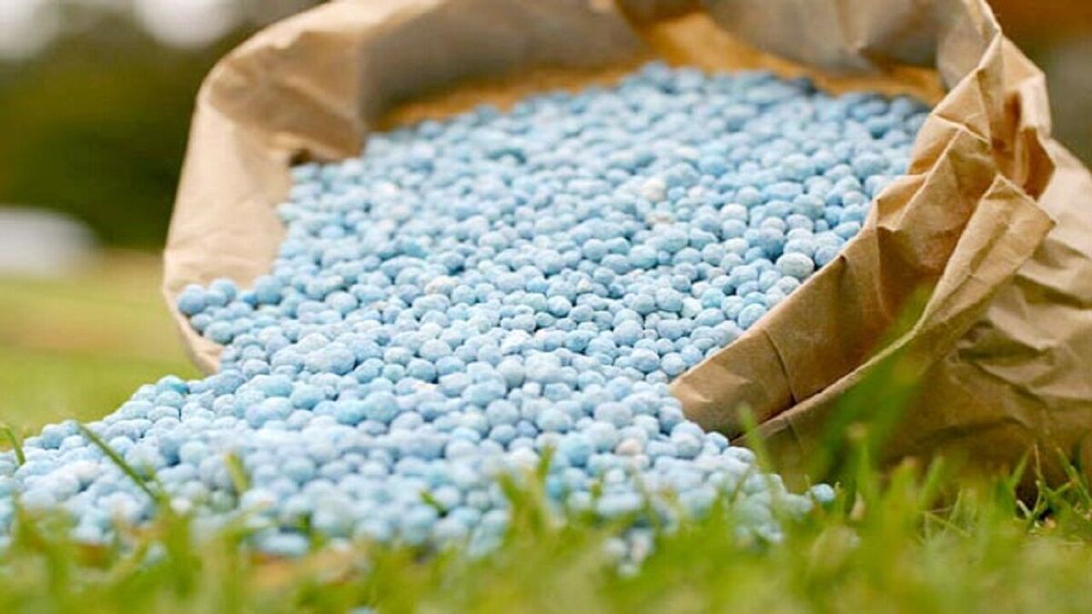 توزیع ۱۶ هزار تن انواع کودهای کشاورزی در استان تهران