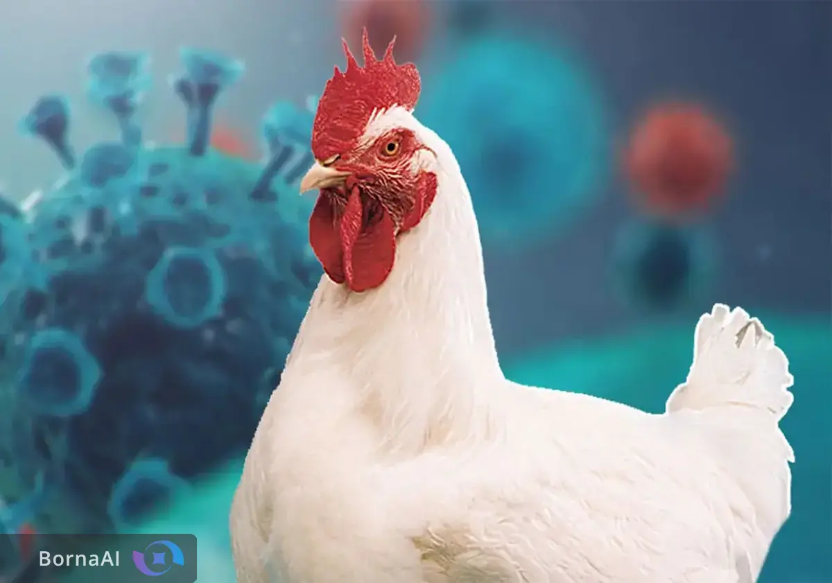 نخستین رقیق‌کننده انجمادی اسپرم خروس آرین تولید شد