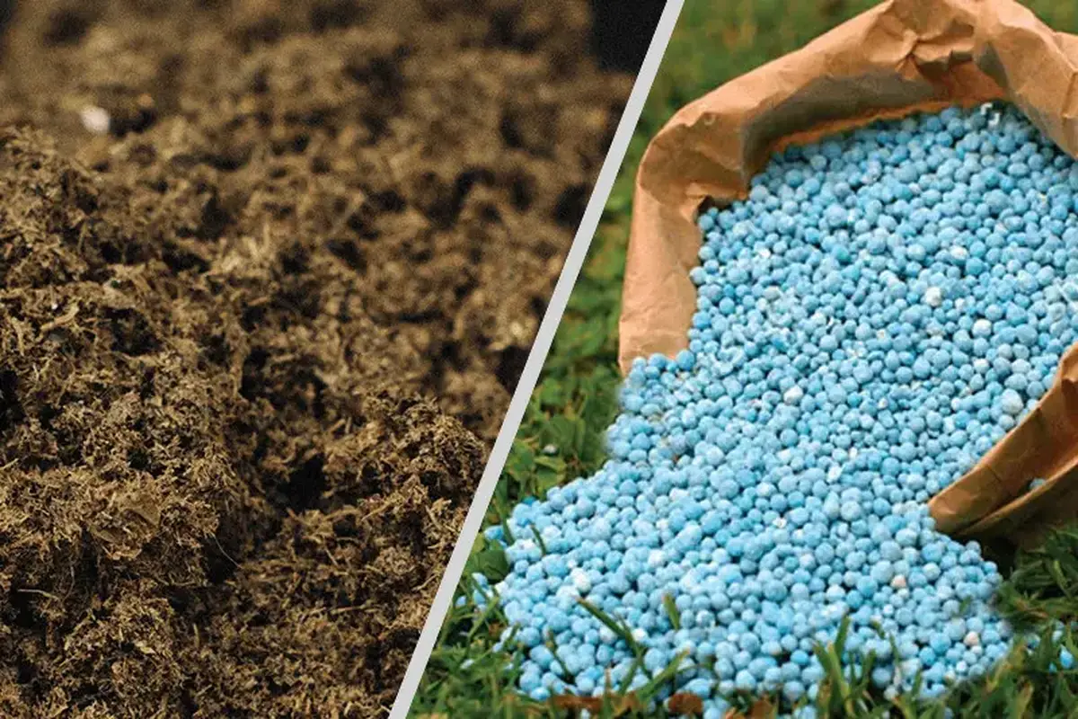 توزیع بیش از ۱۶ هزار تن انواع کود‌های کشاورزی  در بین کشاورزان استان تهران