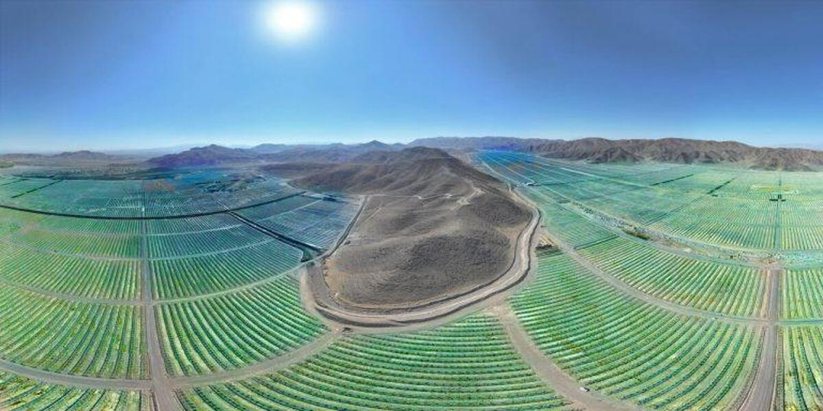 مدیریت بخش کشاورزی با خرید تضمینی پیاز و عرضه زعفران در بورس