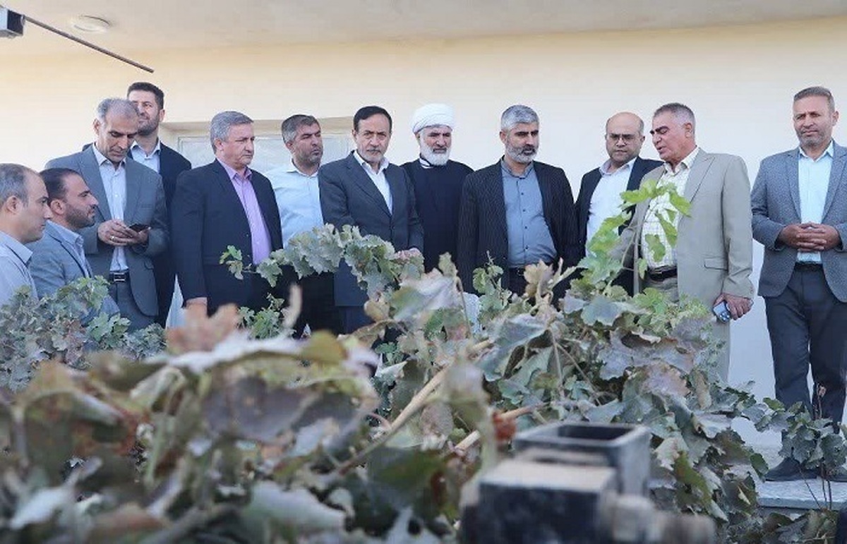 سفر معاون وزیر جهاد کشاورزی به استان قزوین 