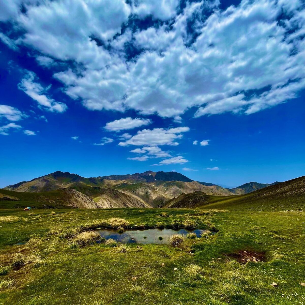 کرمان در صدر رویداد‌های گردشگری کشور در فصل تابستان قرار گرفت