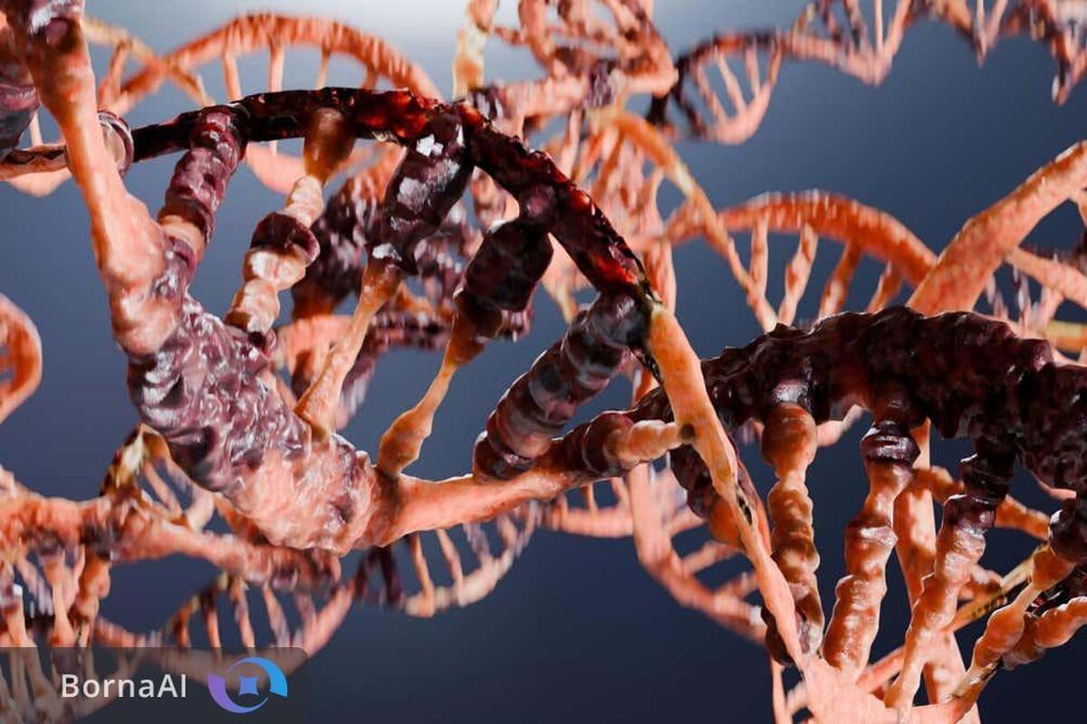 عامل پنهان سرعت پیری در سلول‌ها کشف شد!