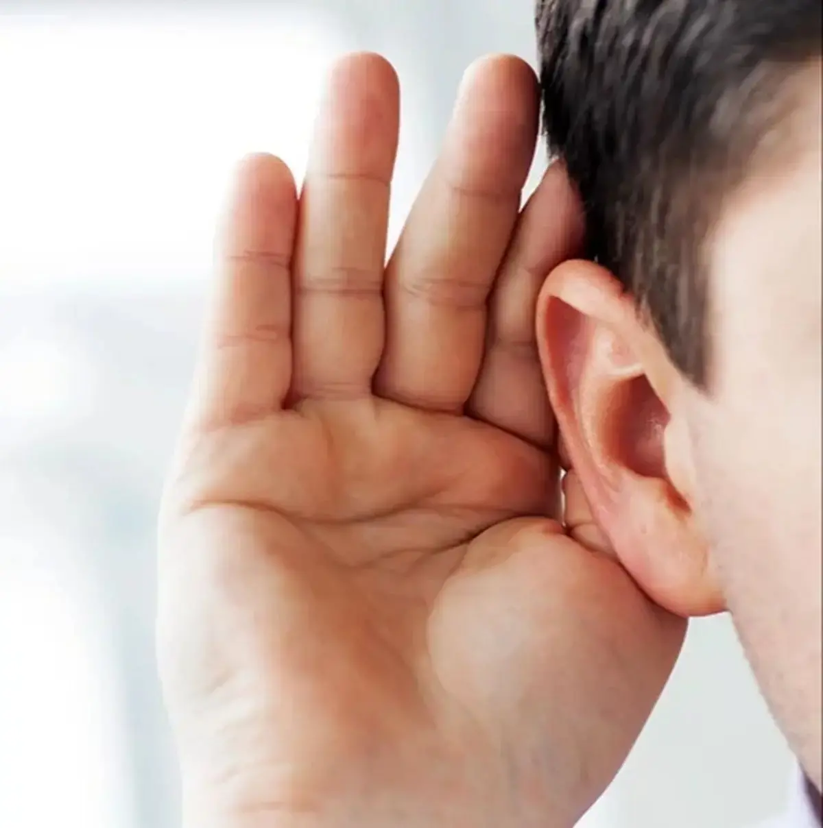 فراتر از سکوت؛ وقتی زبان اشاره دریچه‌ای به جهان می‌شود