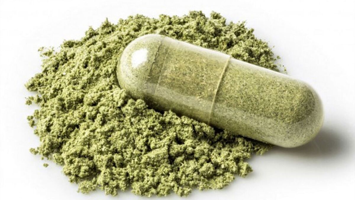 افزایش قدرت تخریب گل با دستکاری فرم‌های ژنتیکی آن/ گل از حشیش هم ویران‌کننده‌تر است