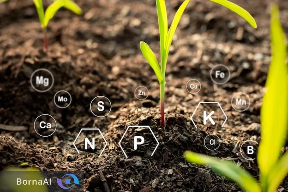 نجات خاک و سفره مردم با فناوری اوره نانویی؛ مصرف کود یکسوم میشود! نجات خاک و سفره مردم با فناوری اوره نانویی؛ مصرف کود یکسوم میشود!