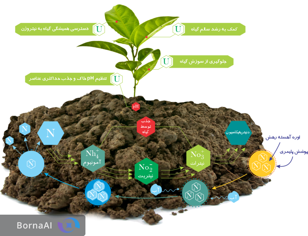 نجات خاک و سفره مردم با فناوری اوره نانویی؛ مصرف کود یکسوم میشود! نجات خاک و سفره مردم با فناوری اوره نانویی؛ مصرف کود یکسوم میشود!