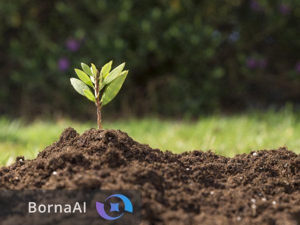 نجات خاک و سفره مردم با فناوری اوره نانویی؛ مصرف کود یکسوم میشود! نجات خاک و سفره مردم با فناوری اوره نانویی؛ مصرف کود یکسوم میشود!