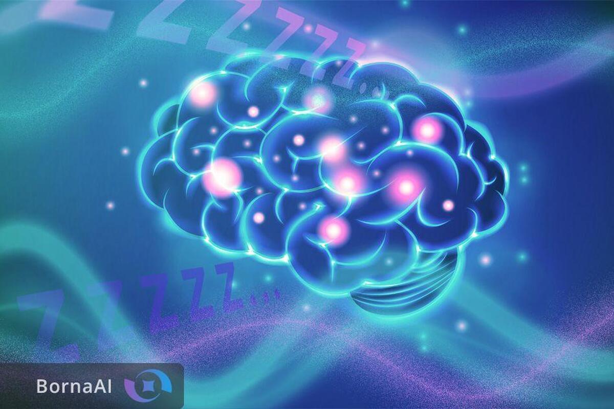 کم‌خوابی منجر به کاهش تمرکز و اختلال در عملکرد مغز می‌شود