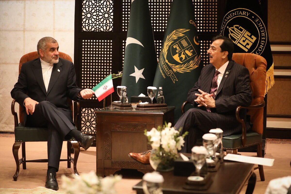 دیدار نیکزاد با رئیس مجلس سنای پاکستان