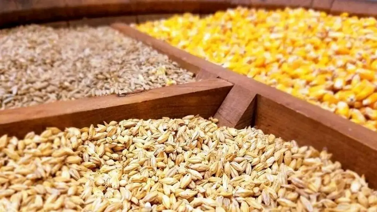 مدیرعامل پشتیبانی امور دام: مسئولیت توزیع نهاده‌های دامی به این شرکت واگذار شد