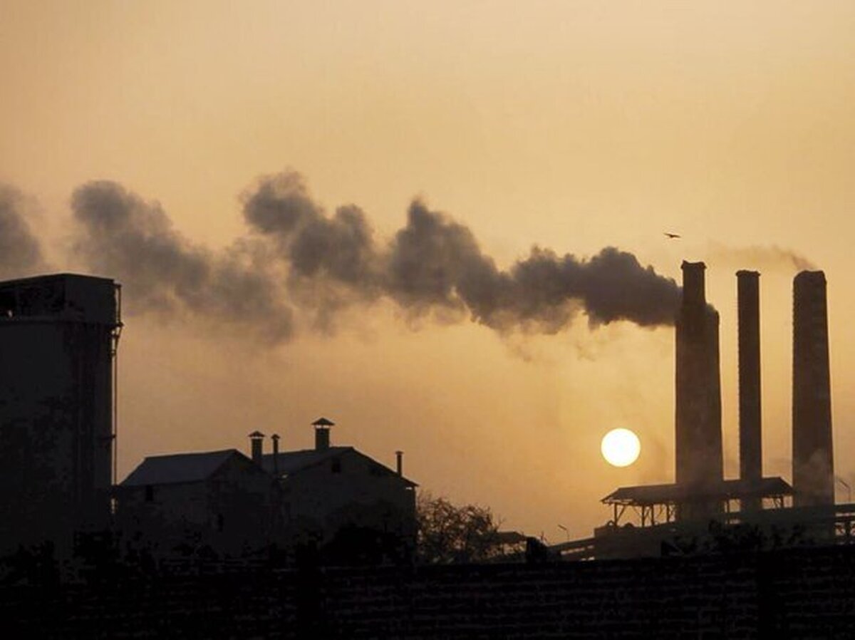 نگاه تک‌بعدی به محیط‌زیست تیشه به ریشه معیشت می‌زند