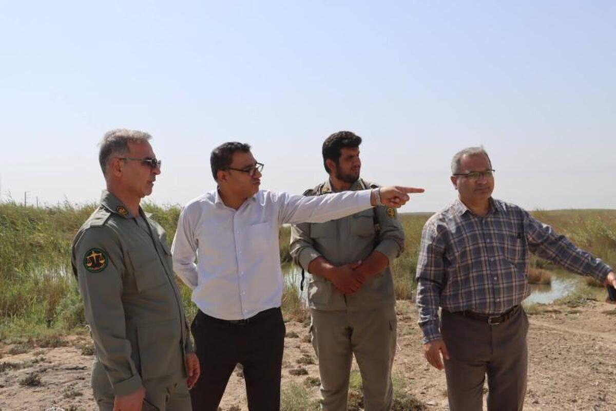 آغاز ساخت برج پرنده‌نگری تالاب بین‌المللی شادگان با هدف توسعه گردشگری پایدار