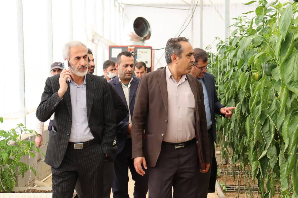 افتتاح و بهره‌برداری از گلخانه سبزی و صیفی‌جات در روستای دزک شهرستان کیار