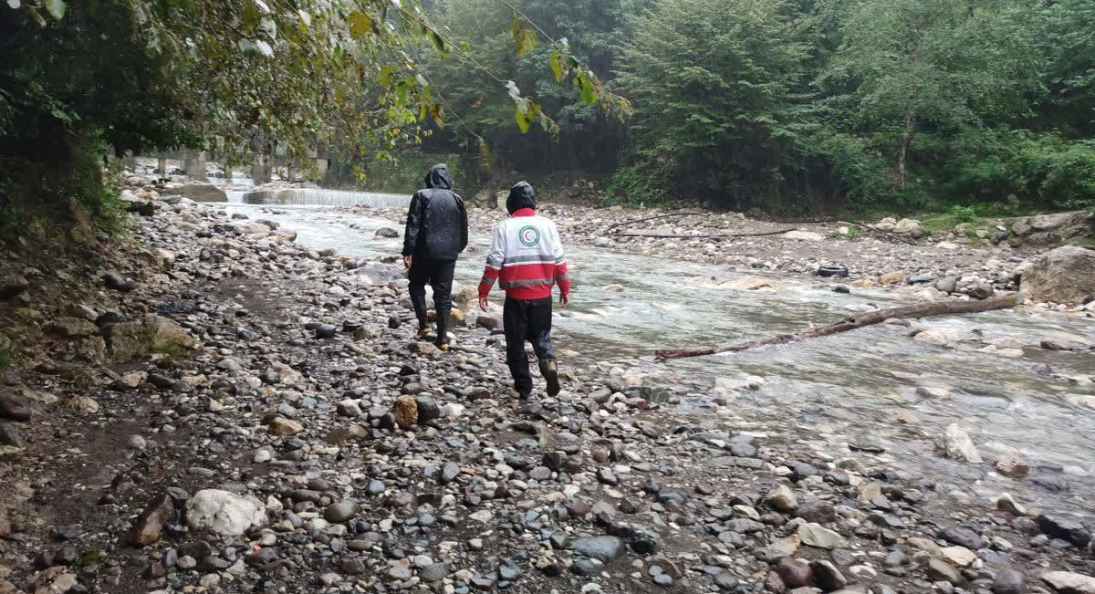 عملیات جست‌وجوی گسترده برای یافتن دو گمشده در جنگل‌های ساری