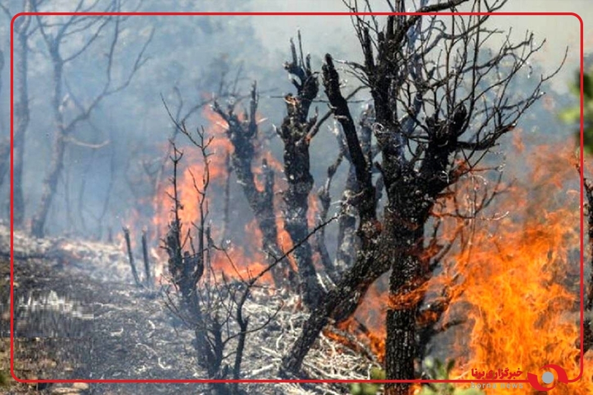 رئیس سازمان محیط‌زیست: در صورت نیاز برای مهار آتش جنگل‌های الیت از دولت روسیه هم درخواست همکاری خواهیم کرد