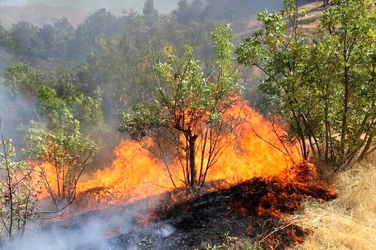 رایزنی بین‌المللی برای خاموش کردن آتش‌سوزی جنگل‌های چالوس