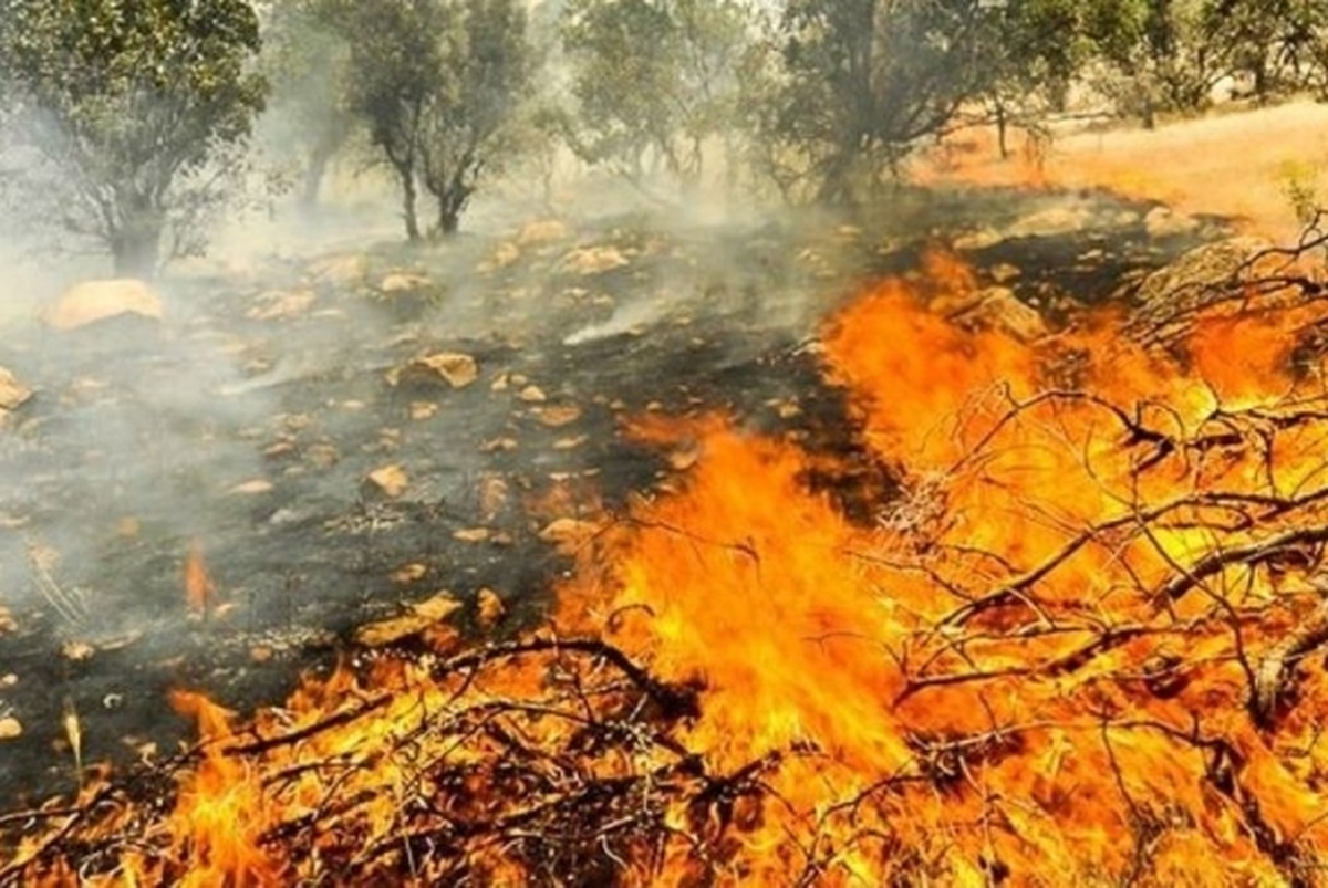 موج سواری رسانه‌های معاند روی آتش سوزی جنگل‌های هیرکانی؛ دهیار روستای الیت چالوس بازداشت نشده است