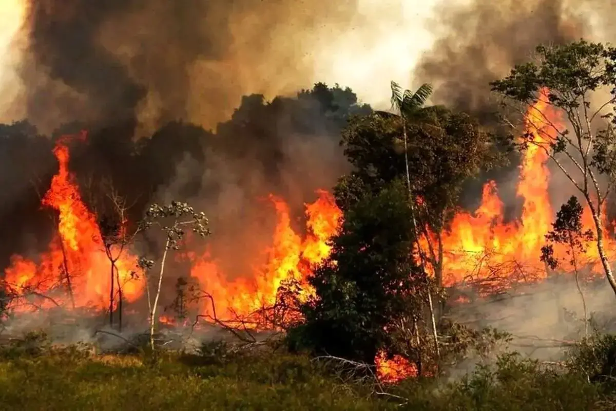 آمادگی بیمارستان‌های منطقه جنگل‌های الیت برای پذیرش مصدومین احتمالی