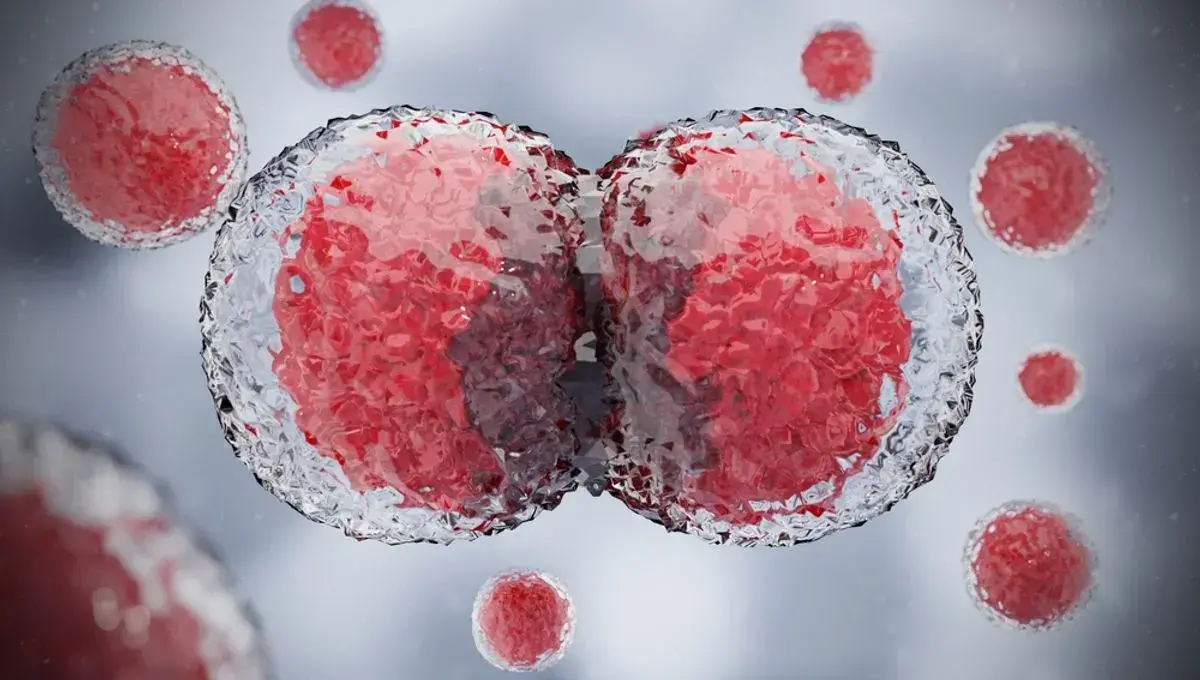 سلول‌ ها از کجا می‌فهمند که مربوط به کدام عضو بدن هستند؟