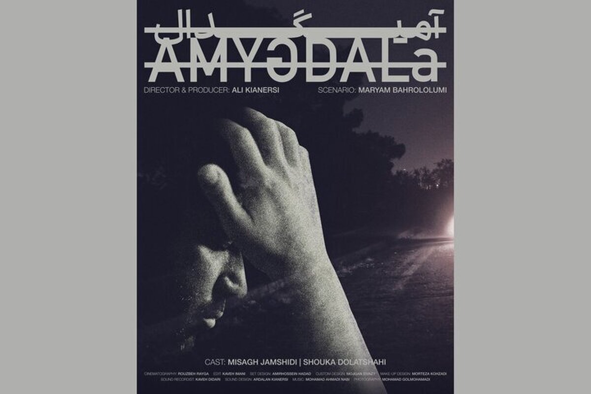 فیلم کوتاه «آمیگدال» آماده نمایش شد