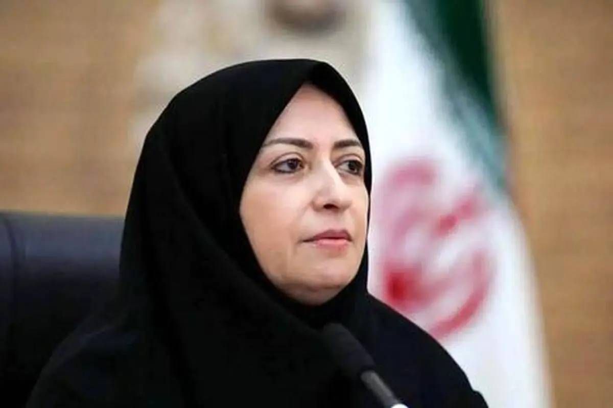 انصاری: دانشجویان سرمایه اجتماعی و بازوی اجرایی حفاظت از طبیعت‌اند