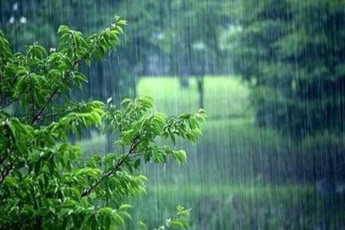آیا بارانی که در زمان آلودگی هوا می‌بارد خطرناک است؟