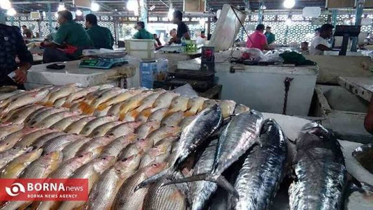 اعلام قیمت انواع آبزیان در میادین و بازار‌های میوه و تره بار