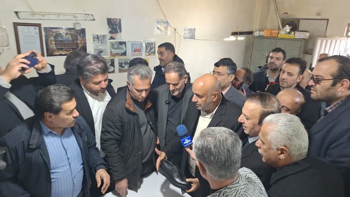وزیر کار از مجموعه کارگاهی کفش دانسفهان بازدید کرد 